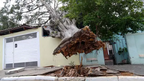 Getty Images A tree fallen due to heavy rains is seen in a neighborhood in Sao Paulo, Brazil, on 12 October.