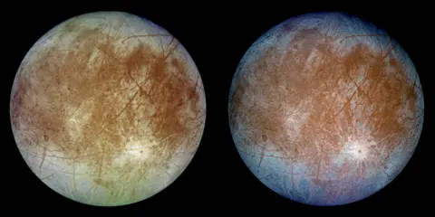 NASA/JPL/DLR This image shows two views of the trailing hemisphere of Jupiter's ice-covered satellite, Europa. The left image shows the approximate natural color appearance of Europa. The image on the right is a false-color composite version combining violet, green and infrared images to enhance color differences in the predominantly water-ice crust of Europa. Dark brown areas represent rocky material derived from the interior, implanted by impact, or from a combination of interior and exterior sources. Bright plains in the polar areas (top and bottom) are shown in tones of blue to distinguish possibly coarse-grained ice (dark blue) from fine-grained ice (light blue). Long, dark lines are fractures in the crust, some of which are more than 3,000 kilometers (1,850 miles) long. The bright feature containing a central dark spot in the lower third of the image is a young impact crater some 50 kilometers (31 miles) in diameter. This crater has been provisionally named "Pwyll" for the Celtic god of the underworld.