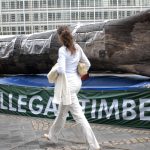 EU pushes back deforestation law by a year after outcry from global producers